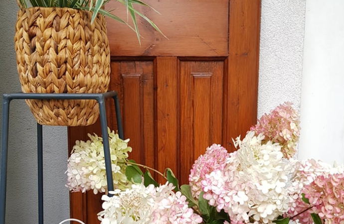 Stare drzwi w ogrodzie
